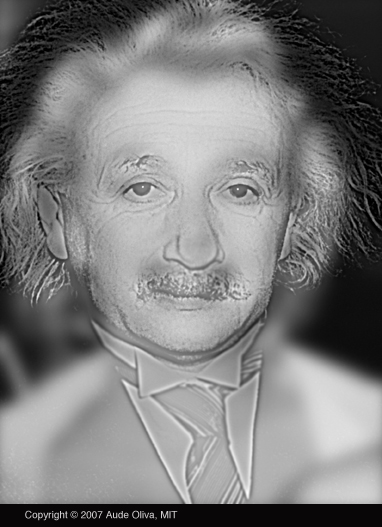 Monroe Einstein Large